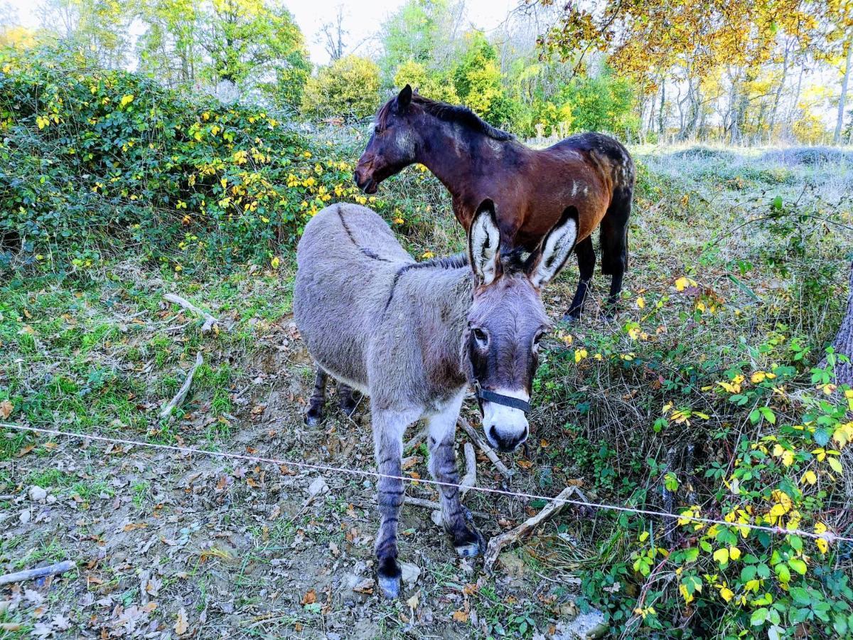 Chateau Montegut Rustique Eksteriør billede